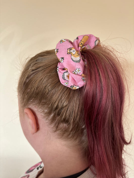 Guinea pig scrunchie